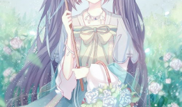 少女漫画图片大全,梦幻少女漫画图鉴